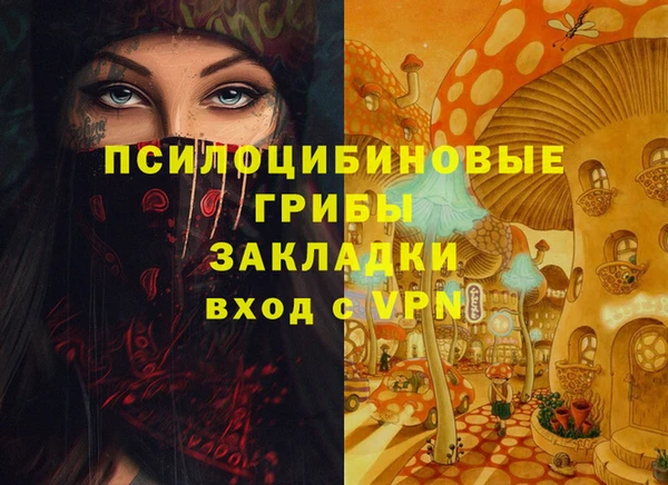 дурь Богородск