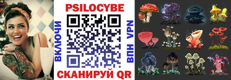 Псилоцибиновые грибы Psilocybe  Дивногорск 