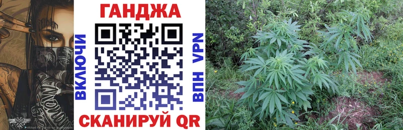 где найти   Дивногорск  Бошки Шишки планчик 